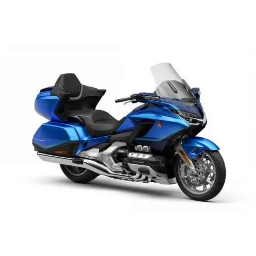 Goldwing 2022 #370