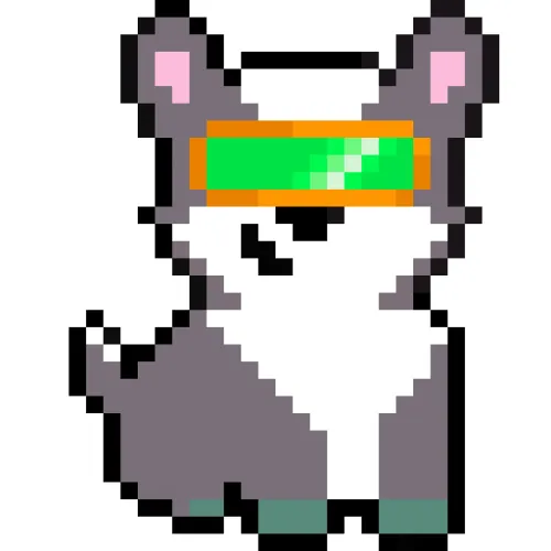 CorgifromBlock #13020000