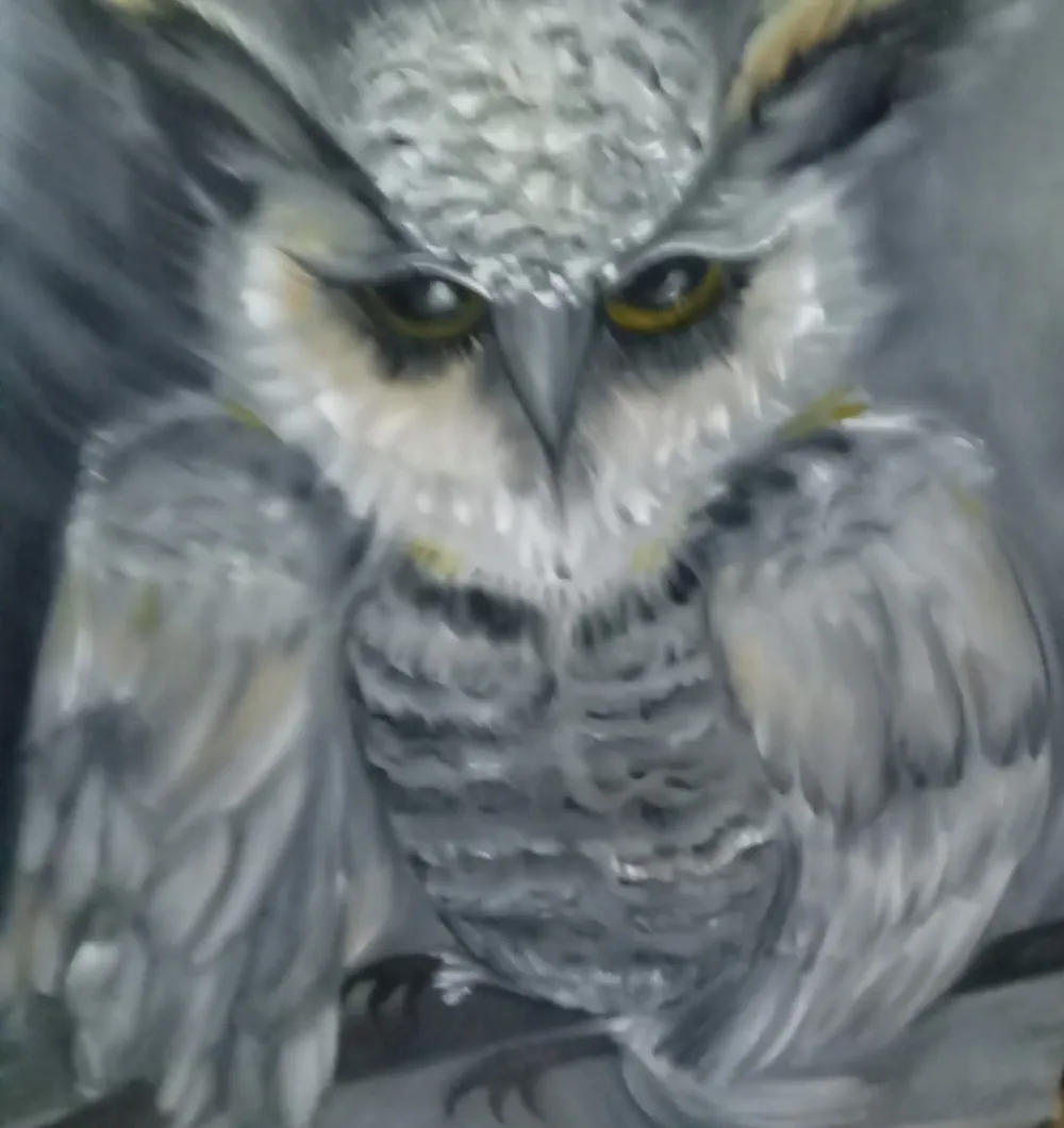 owl