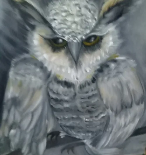 owl