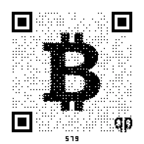 qrpaper bitcoin ＃579/600 （Inscription ＃53139025）