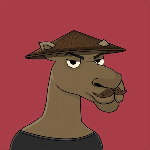 Camel #5167