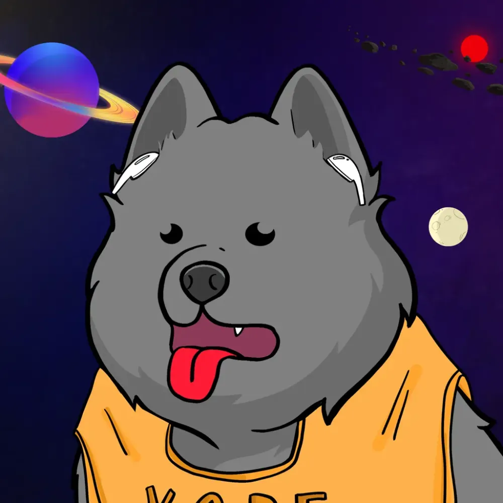 Samoyed #809