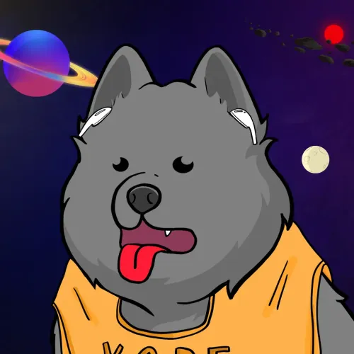 Samoyed #809