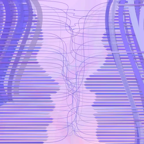 [Dis]entanglement #33