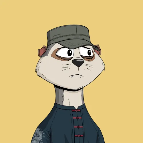 Worried Meerkat #551