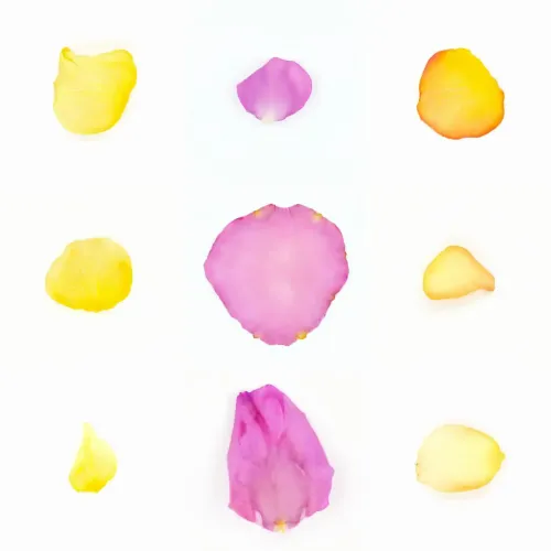 Infinite Petals 3x3#29