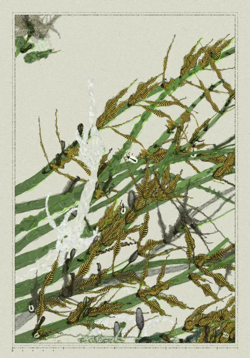 Polypaths | 植徑集 #224