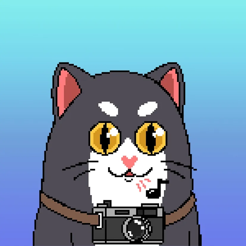Liberty Cats
