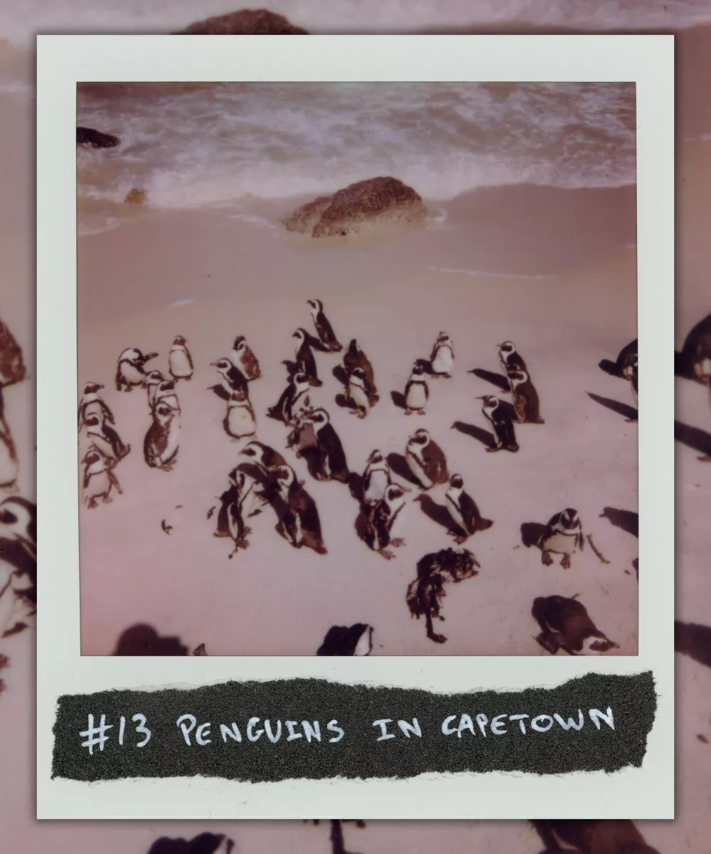  #13