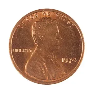 #65987677
