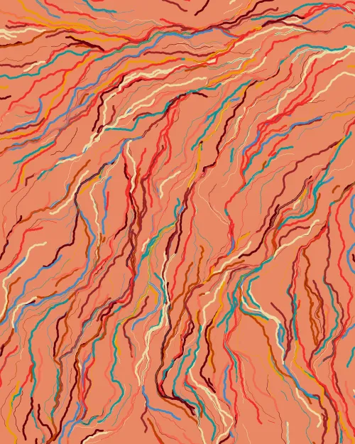 Wavelength ＃312