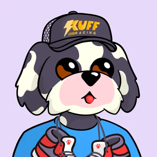 BoDoggos #593