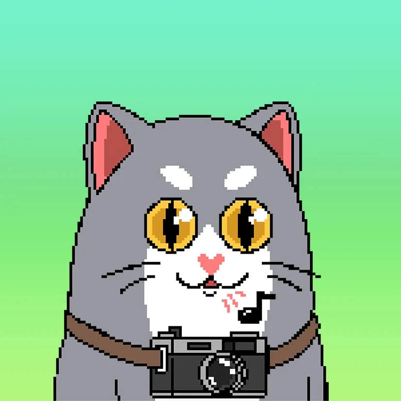 Liberty Cats