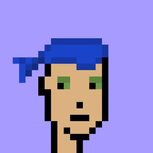 V1 PUNK #7639