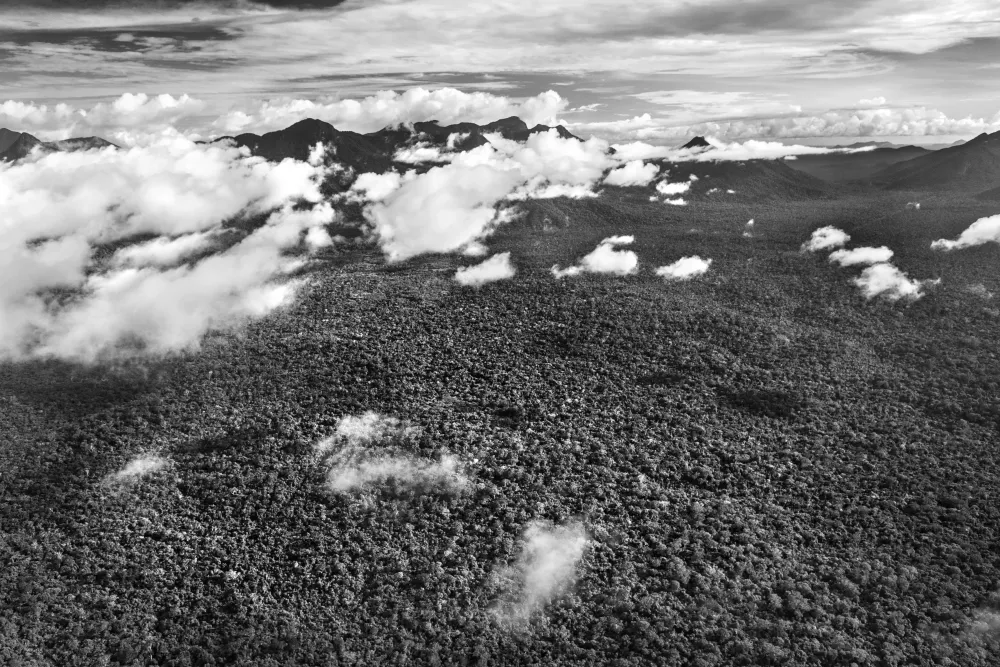 Amazonia - Sebastiao Salgado #4071