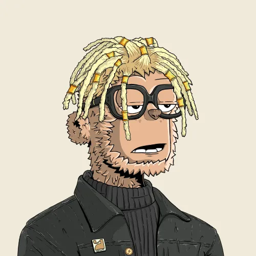 y00t #14578