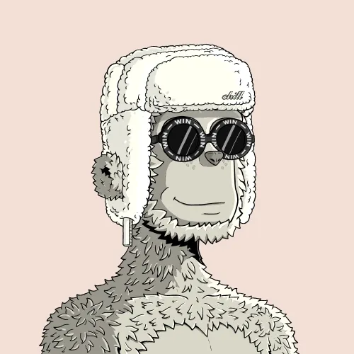 y00t #11638