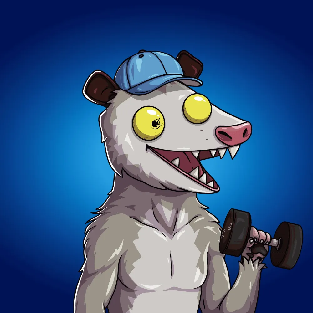 WTF Opossum #478