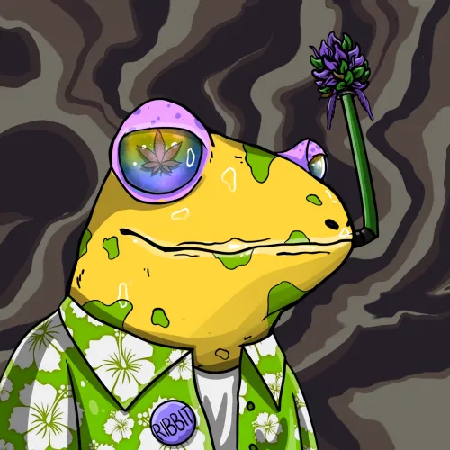 The Stoned Frogs #5388