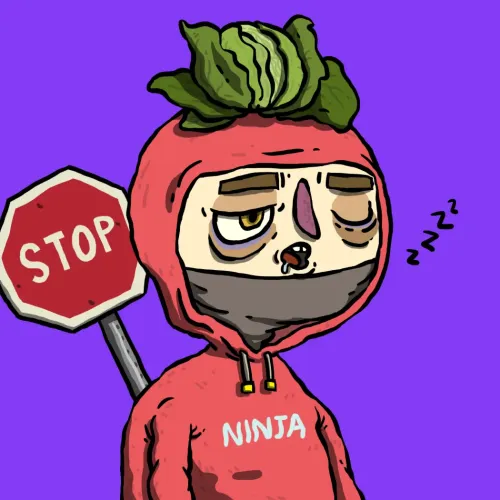 Ninja #1759