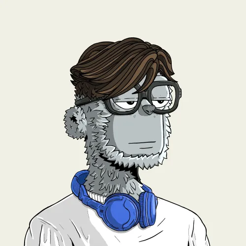 y00t #14569