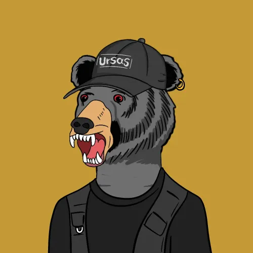 Ursuit #389