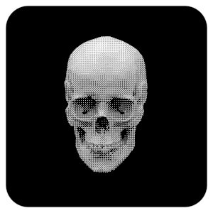 THE FIRST SKULL ＃1655