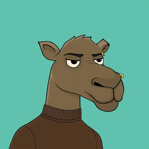 Camel #3785