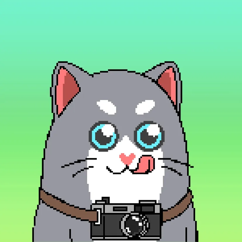 Liberty Cats