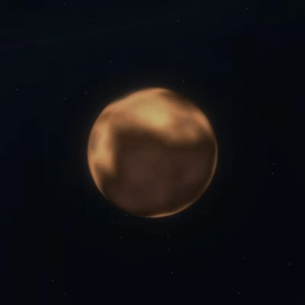 D20P1991 (#93914637)
