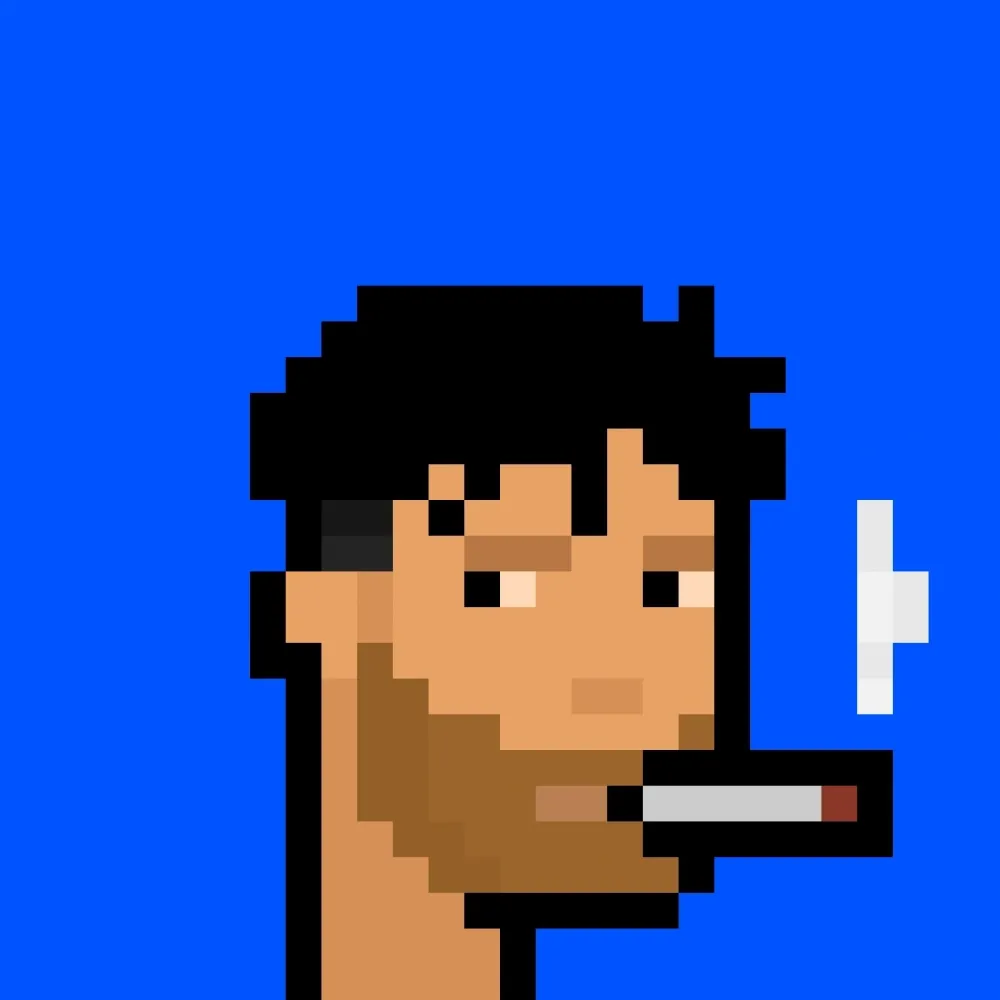 888xPunks #65