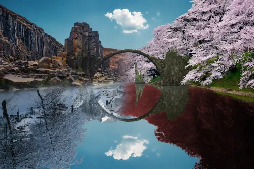 Reflection #582