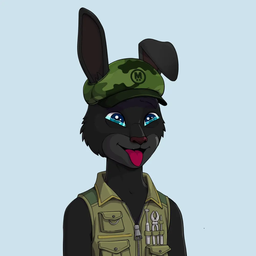 MegaRabbit #2508