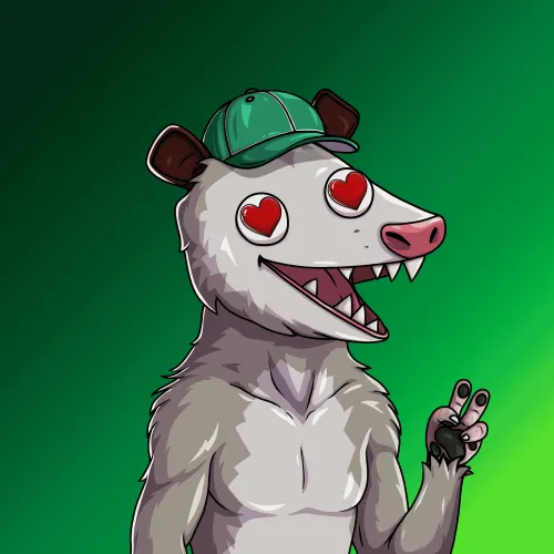 WTF Opossum #167