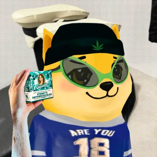 Bonkyo #914