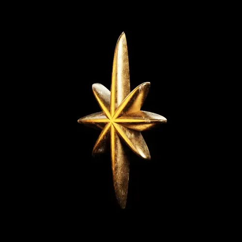 Bronzed Star 1673903399 #1242