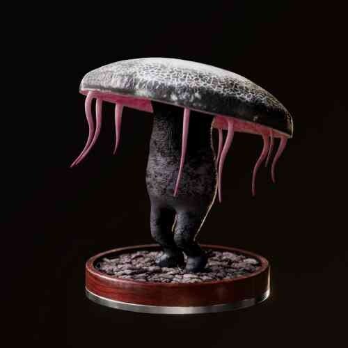 Fungi #8884