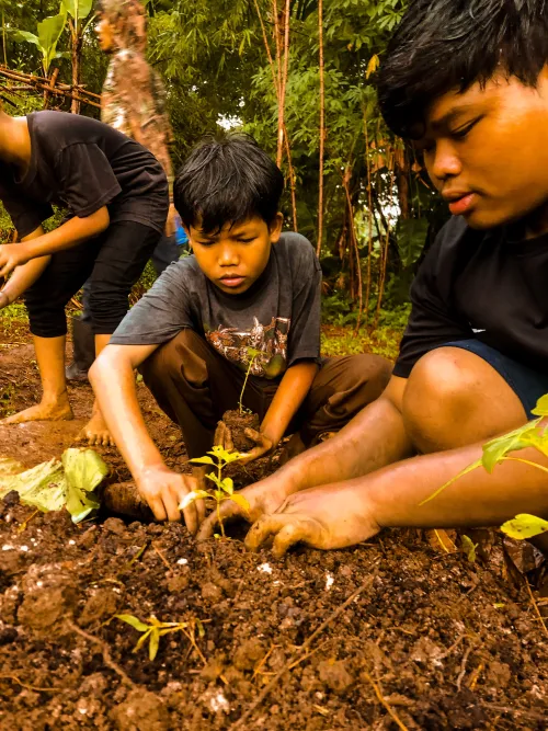 Harvesting the Future #3