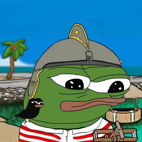 Apu #800