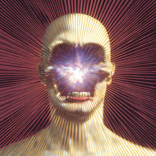 #111