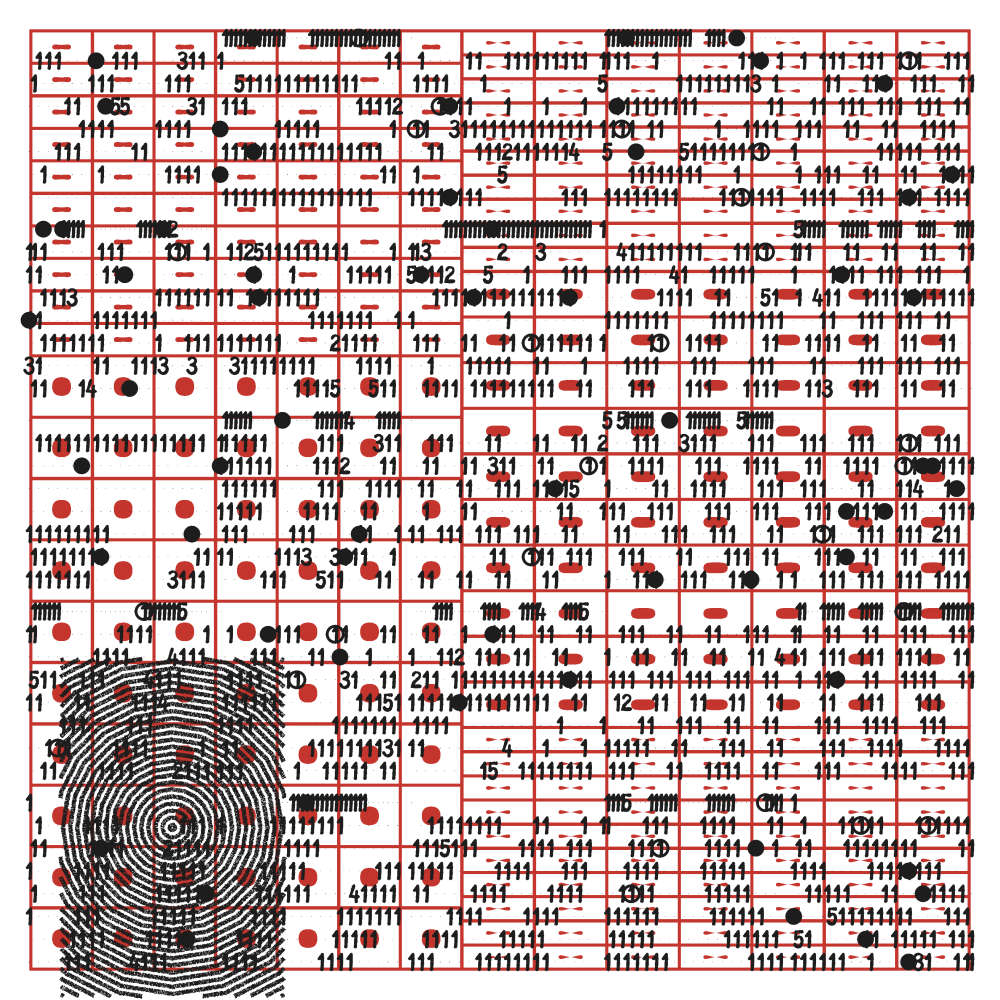 Low Language 51 #51