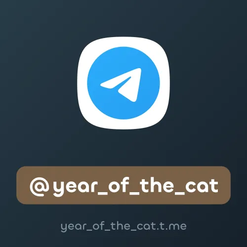 @year_of_the_cat