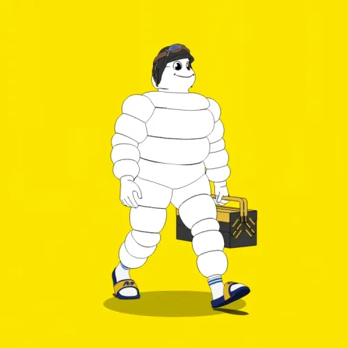 Michelin 3xplorer #1013