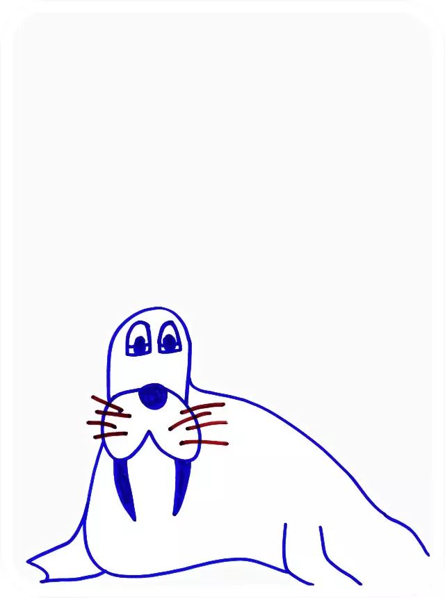 WokeWalrus #10061