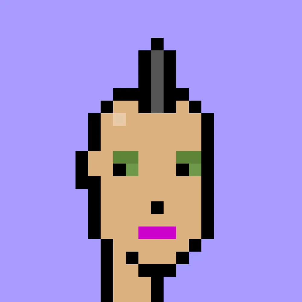 V1 PUNK #8142