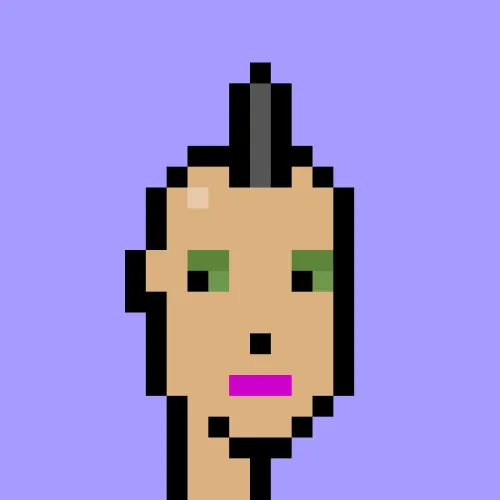 V1 PUNK #8142