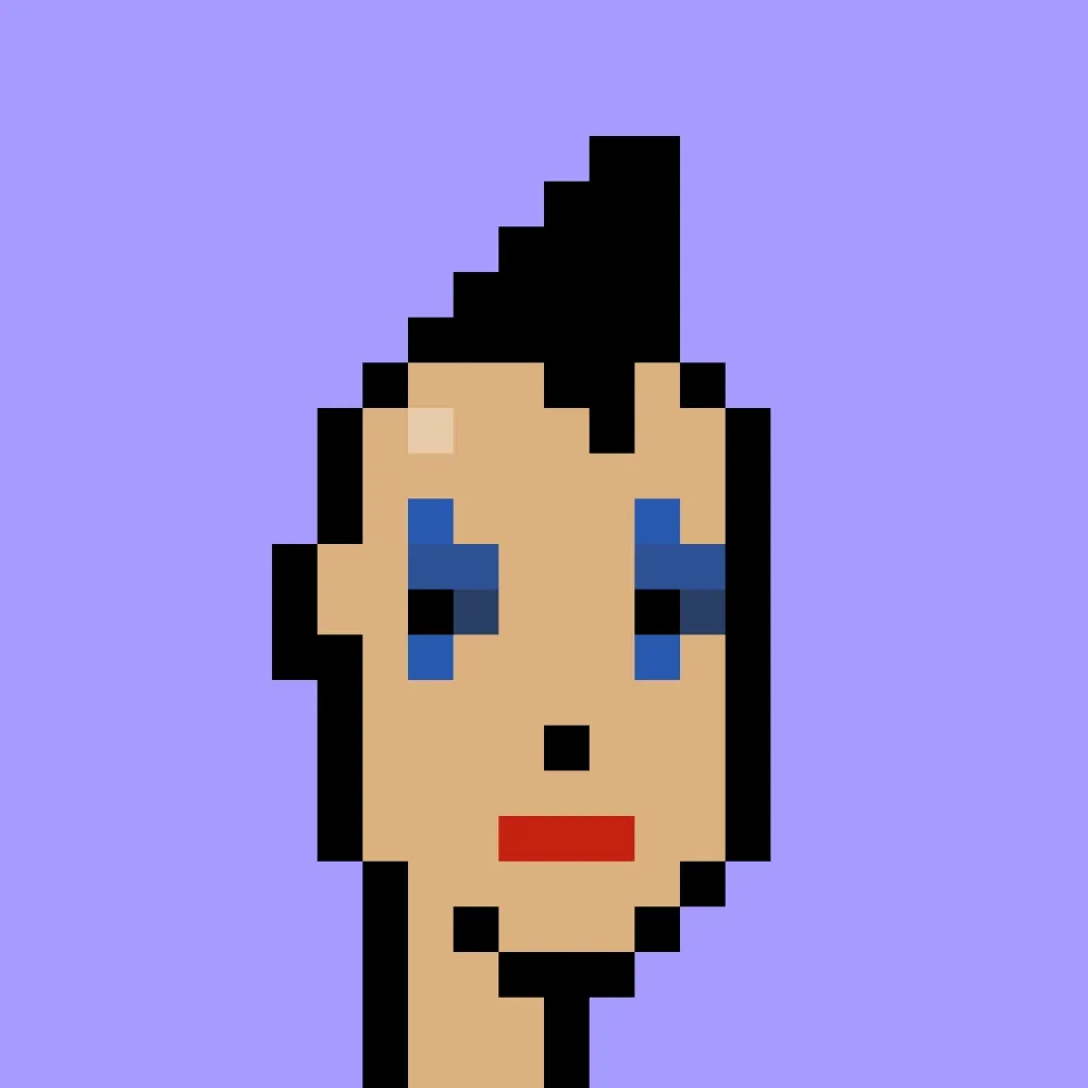 V1 PUNK #9331
