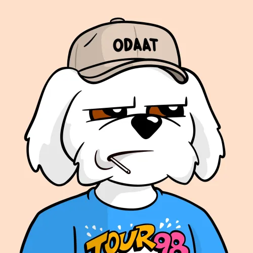 BoDoggos #2867