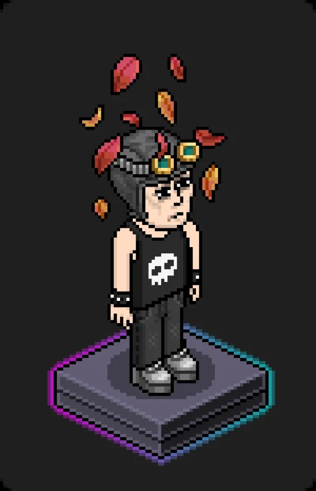 Habbo Crafted Avatar #902
